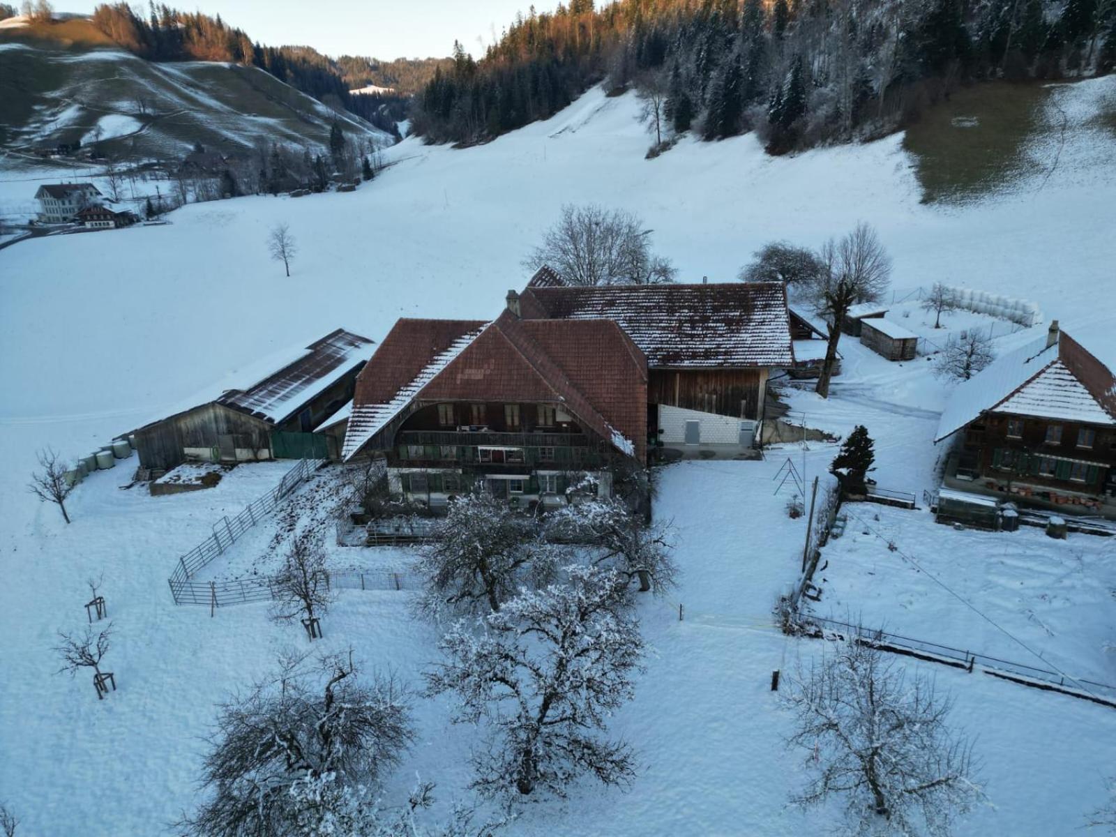 Апартаменти Emmental Ferien Лангнау Екстер'єр фото