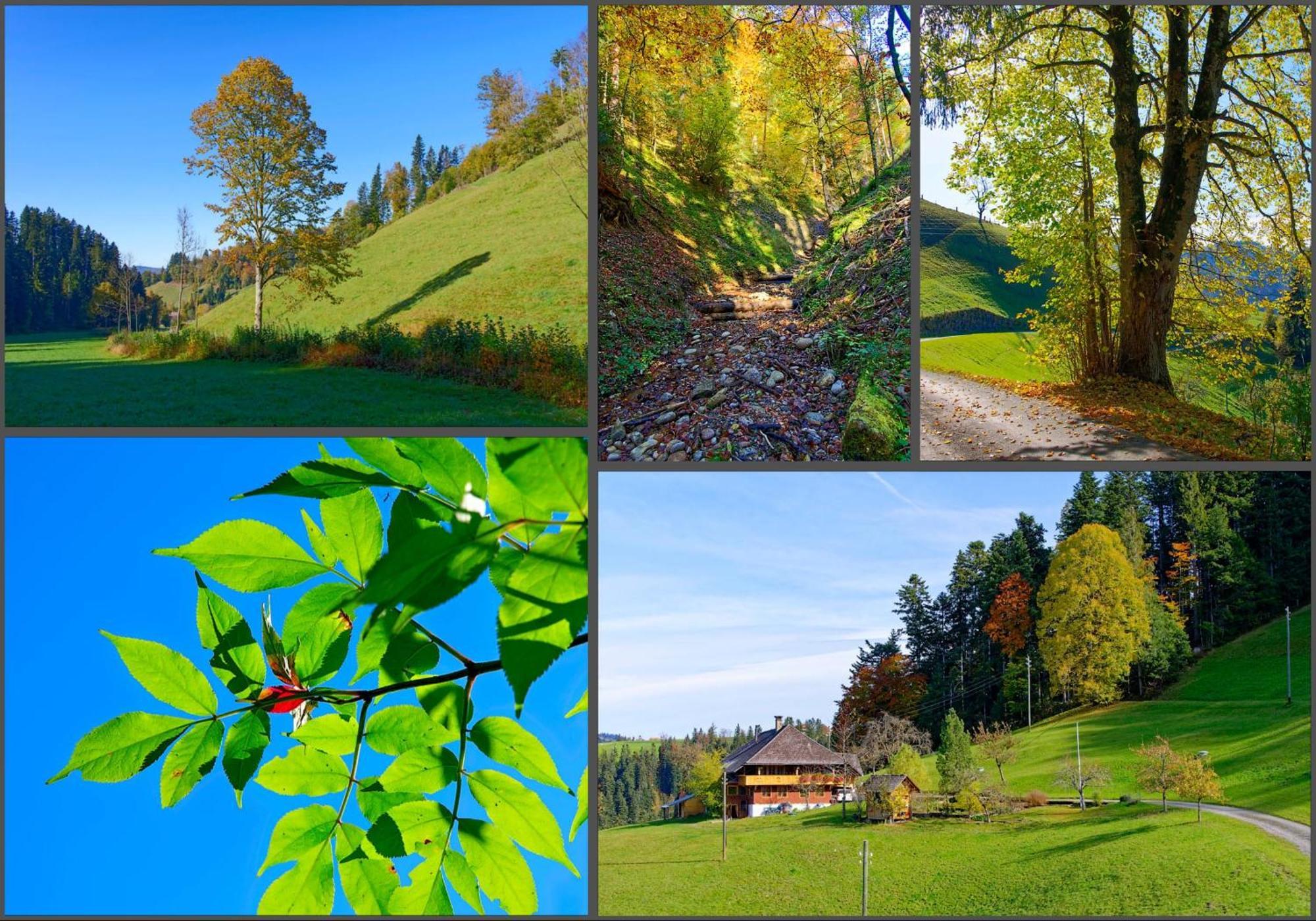 Апартаменти Emmental Ferien Лангнау Екстер'єр фото