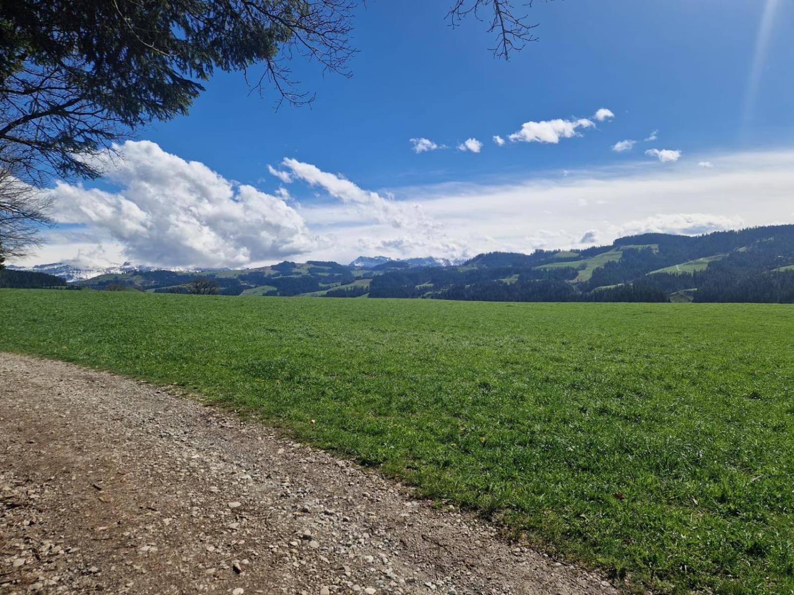 Апартаменти Emmental Ferien Лангнау Екстер'єр фото