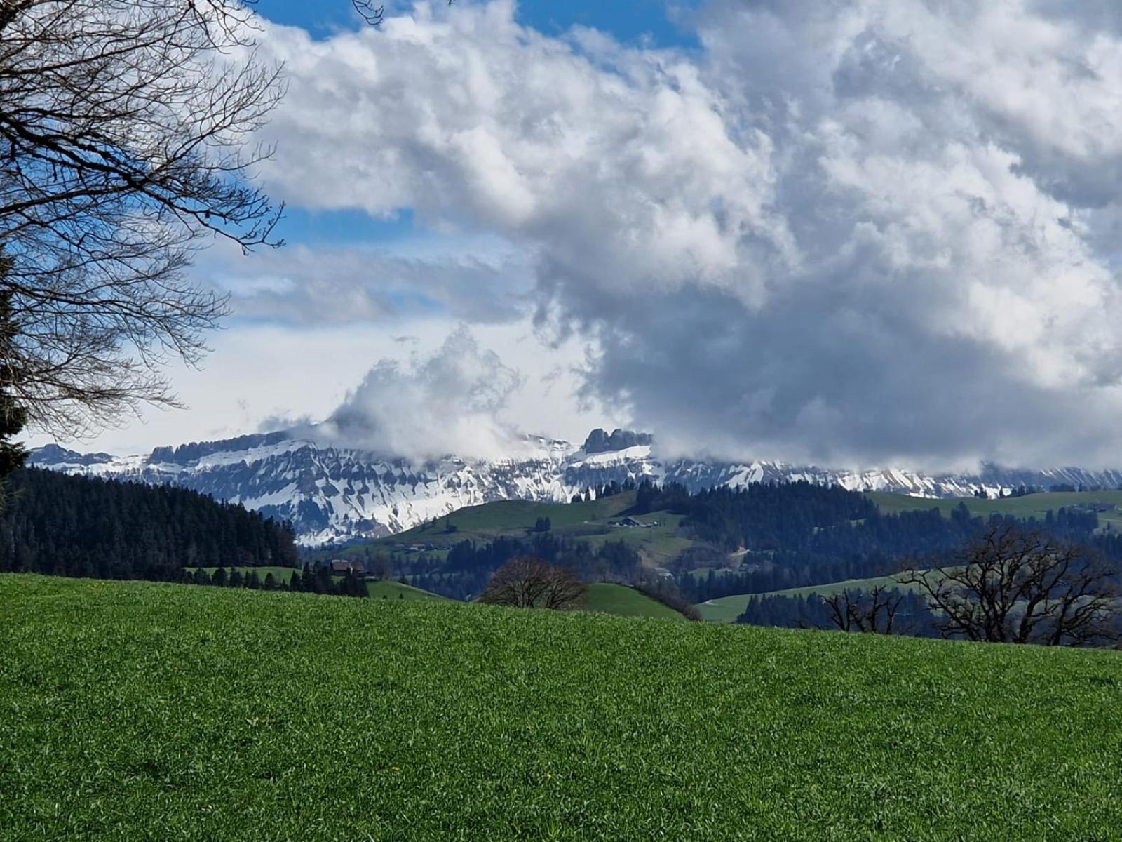 Апартаменти Emmental Ferien Лангнау Екстер'єр фото